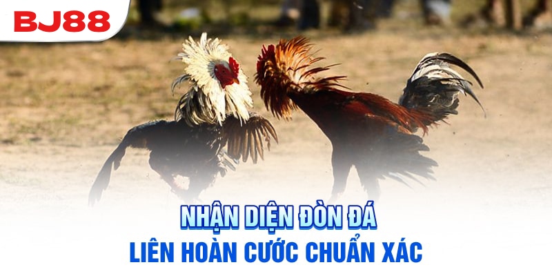 Nhận diện đòn đá liên hoàn cước qua ngoại hình