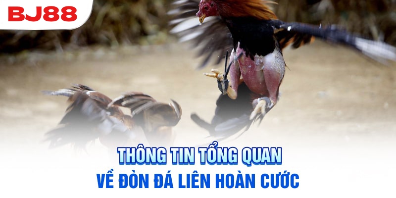 Những lợi ích tuyệt vời của kỹ năng liên hoàn cước