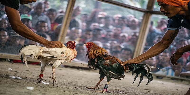 Giải đáp định nghĩa đá đâm hang cua